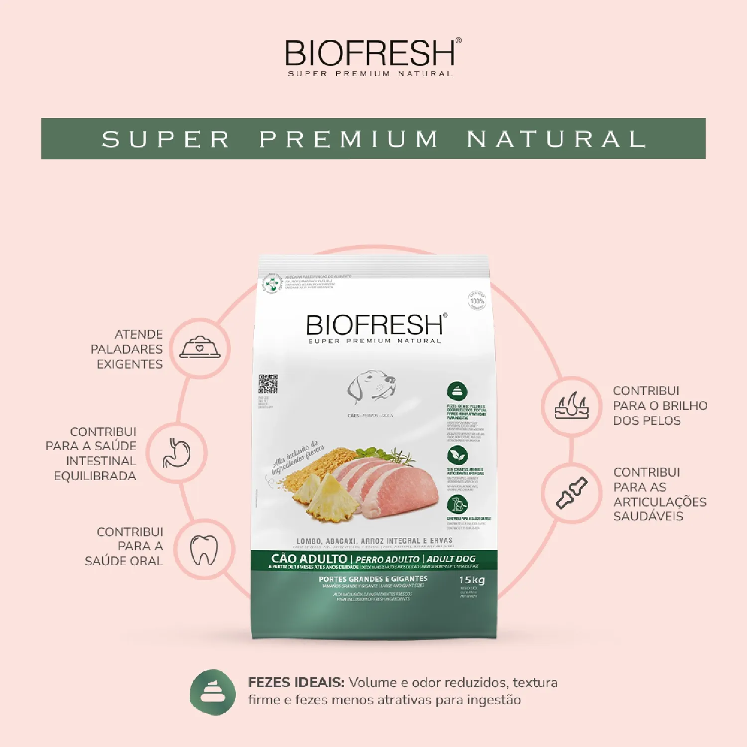 Racao Biofresh Lombo e Abacaxi-01
